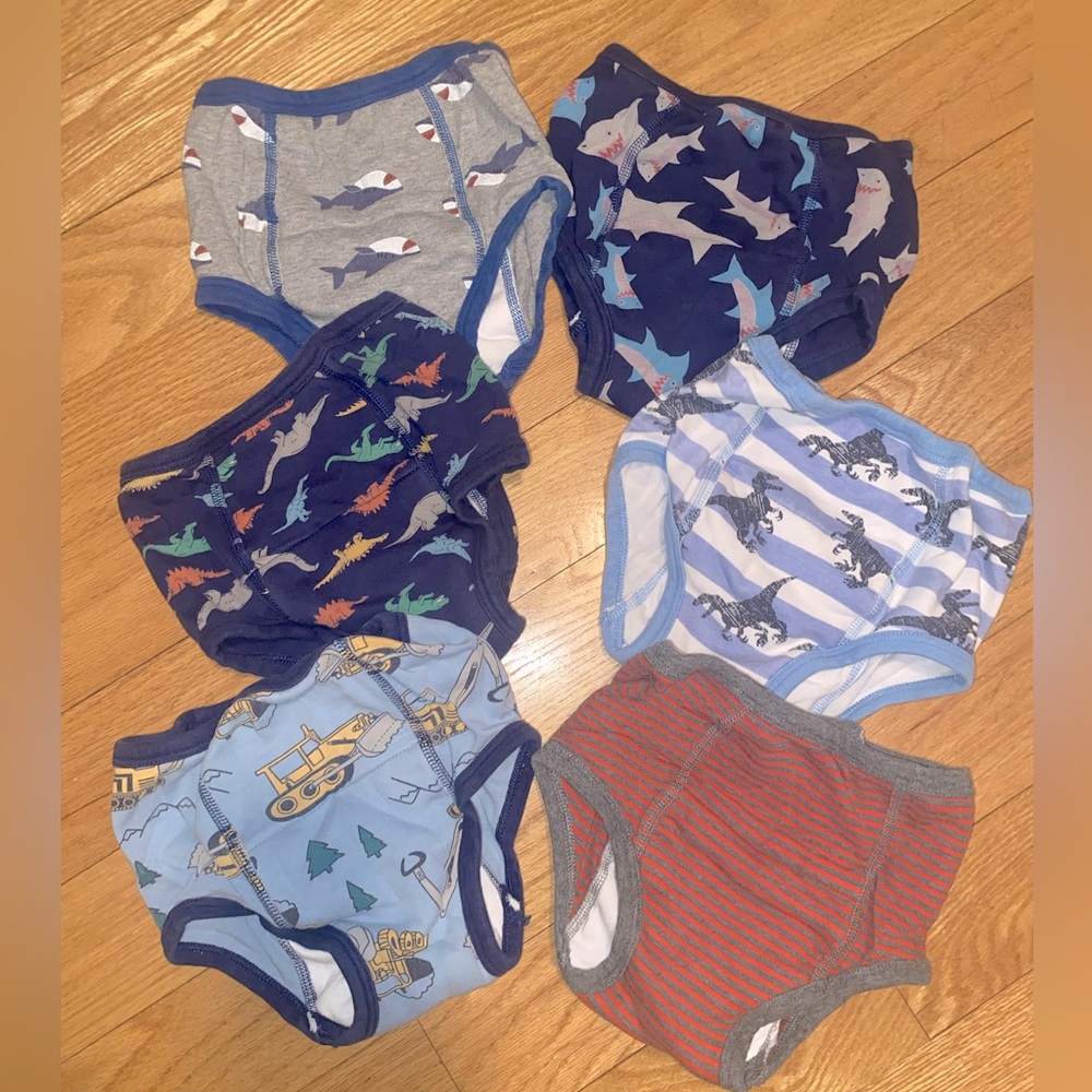 Potty Training Absorbent Underwear (6 Pairs)
